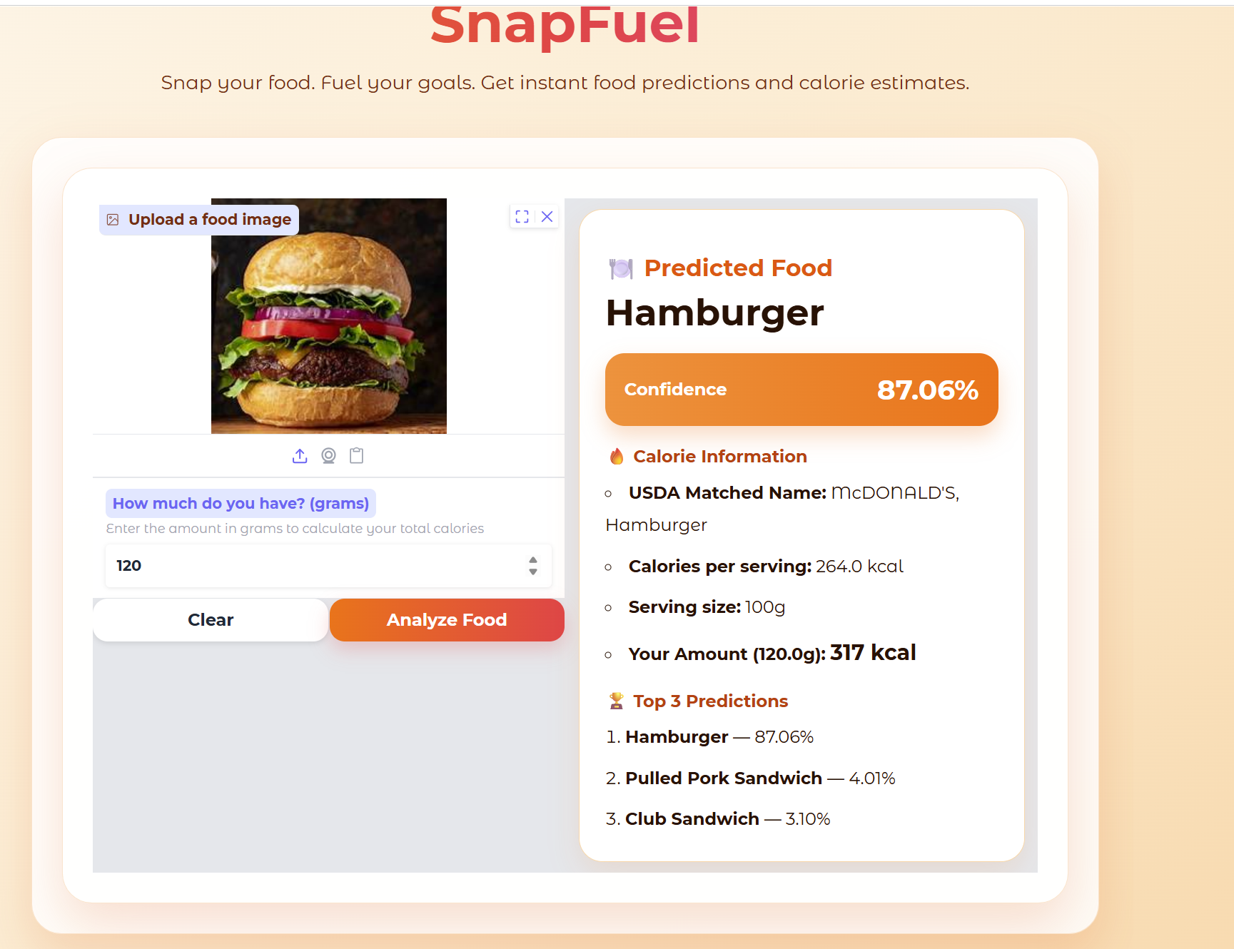 SnapFuel result
